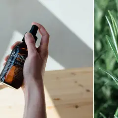 En hand håller en flaska med rosmarin vatten. Bredvid syns en närbild på rosmarin.