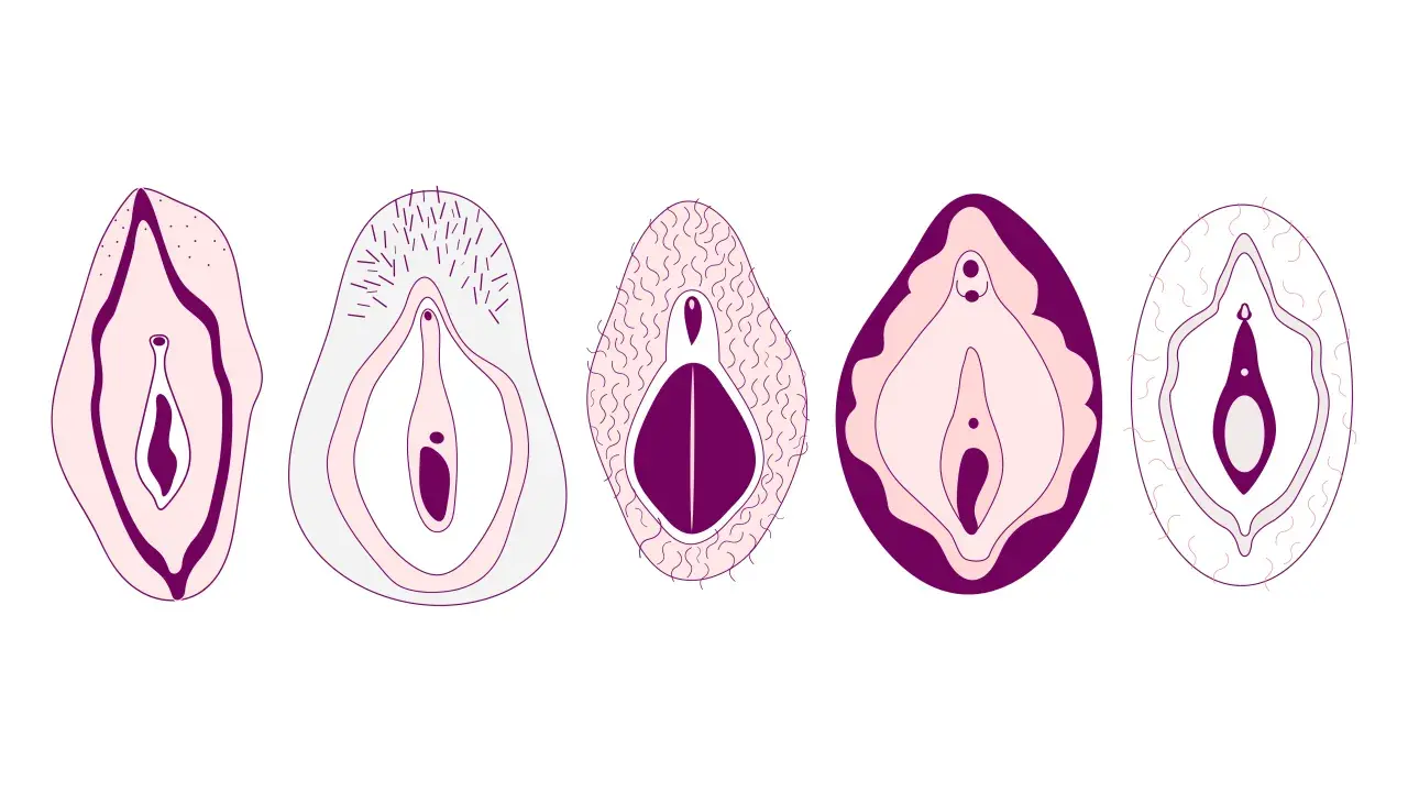 Fem olika vulvor, vissa med hår på snippan, visar variationen i anatomin.